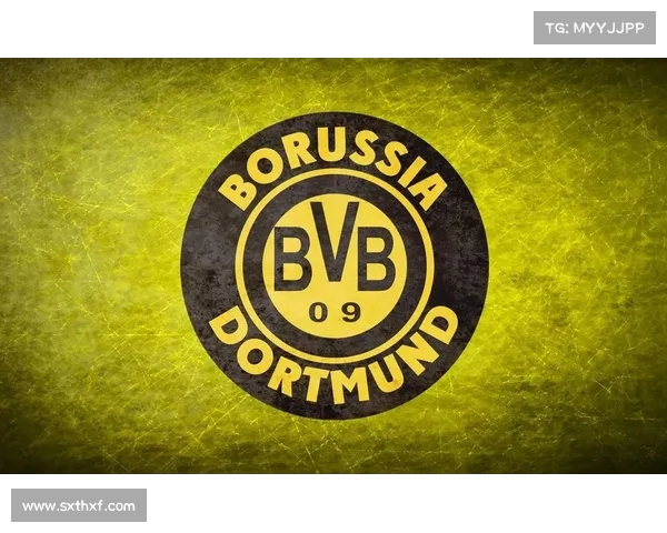 海登海姆足球俱乐部历史回顾与德甲崛起之路分析 海登海姆足球俱乐部历史回顾与德甲崛起之路分析